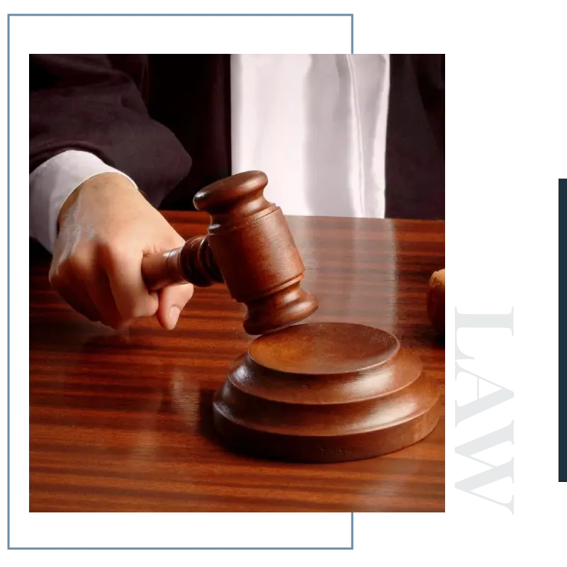law litigation